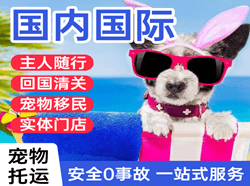伊春机场托运国际宠物托运 【国